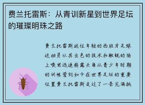 费兰托雷斯：从青训新星到世界足坛的璀璨明珠之路
